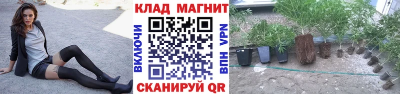Сколько стоит Владимир СК  Гашиш  mega как войти  Метамфетамин  Бошки Шишки  Псилоцибиновые грибы  АМФЕТАМИН 