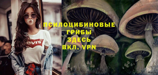 соль курить ск Алзамай