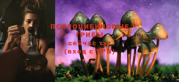 соль курить ск Алзамай