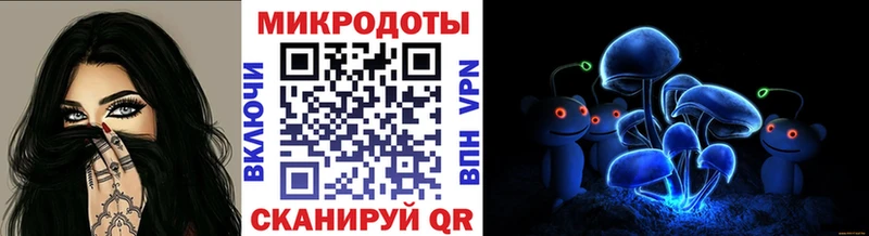 продажа наркотиков  Владимир  Галлюциногенные грибы мицелий 