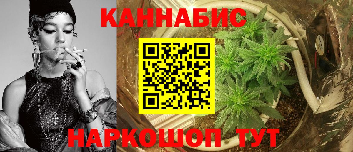 Бошки Шишки OG Kush  Бошки марихуана семена  Вход с VPN  Владимир 